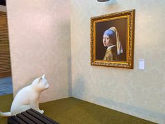 -深圳湾万象城(南山店)