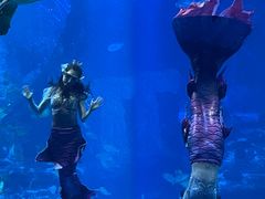 -太平洋海底世界