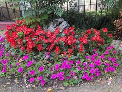-上海虹桥迎宾馆