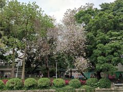 -荔湾湖公园