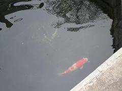 -西安市广仁寺