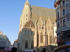 -斯蒂芬主教座堂(Stephansdom)