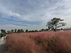 -汉长安城未央宫国家考古遗址公园