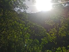 -碓臼峪自然风景区