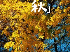 -婕妮璐超市 Jenny Lou’s Shop(三里屯店)