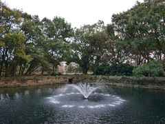 景点-普陀山风景名胜区-法雨禅寺