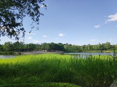 -永定河休闲森林公园