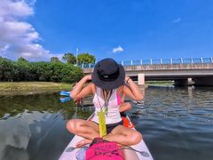 -春花秋色城市公园