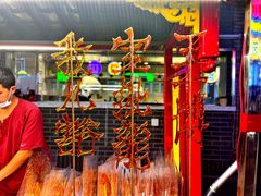 -鸿恩陶然大观园