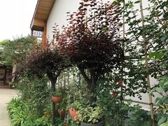 -凤来栖·净庭院·火锅(欧尚店)