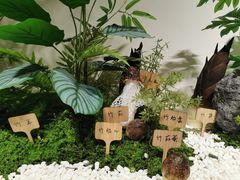 -竹野·上|老字号全竹宴