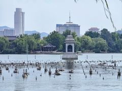 -济南大明湖景区