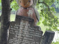 -千岛湖东南湖区