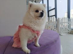 -怪兽屋·羊驼·猫咖·狗咖(俊华广场店)