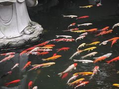 -檀园