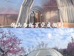 -南丹山森林王国