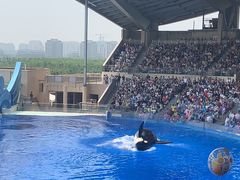 -上海海昌海洋公园