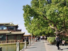 -西湖外事游船(湖滨二公园外事游船码头)