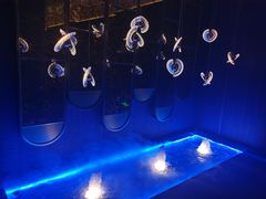 -尚善若水·汤泉·SPA·沐足(东方渔人码头店)