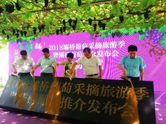 -白鹿原葡萄主题公园