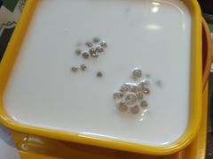 -东记甜品(佛山总店)
