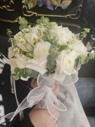 -鼎极摄影(蓝色港湾店)
