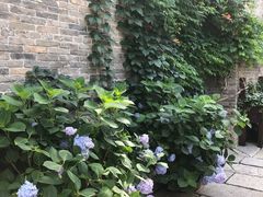 -回龙窝历史文化街区