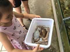 -海岸风情蒸汽海鲜自助餐厅(家宴金手勺店)