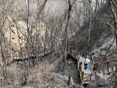 -大岭沟猕猴桃谷风景区