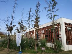 -上海长兴岛郊野公园