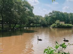 -沈阳森林动物园