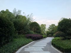 -上海崇明金茂凯悦酒店