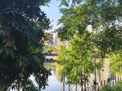 -重庆彩云湖湿地公园