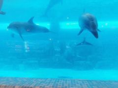 -波塞冬旅游度假区