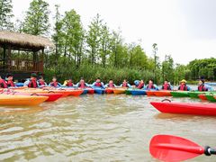 -上海长兴岛郊野公园