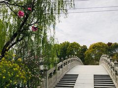 -南汇桃花村