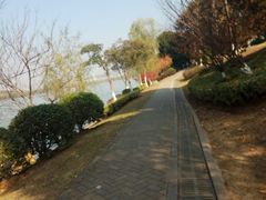 -羊山湖公园