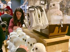 -九又四分之三站台