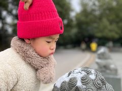-南京市江宁方山