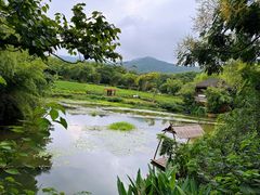-绿茶餐厅(龙井船宴· 品牌总店)