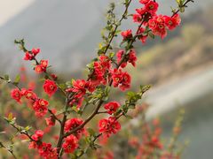 -国家植物园