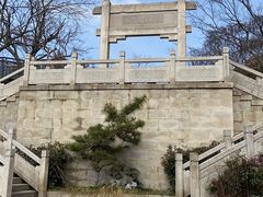 -紫金山山顶公园