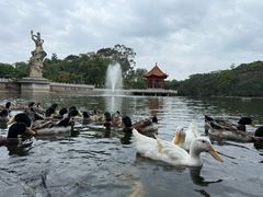 -广州莲花山旅游区