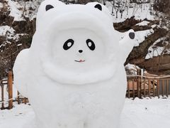 -少华山国家森林公园