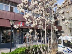 -李先生牛肉面大王(北京东四店)
