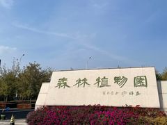 -绥化市森林植物园