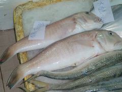 马头鱼-华源餐厅·海鲜大排档(日月贝店)