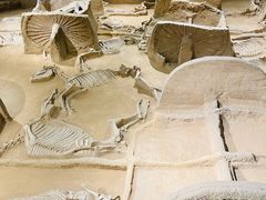 -洛阳周王城天子驾六博物馆