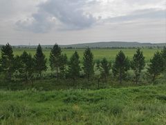 -呼伦贝尔大草原