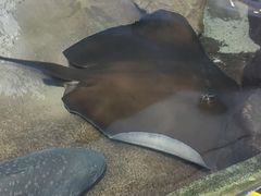 -鸿通城购物中心